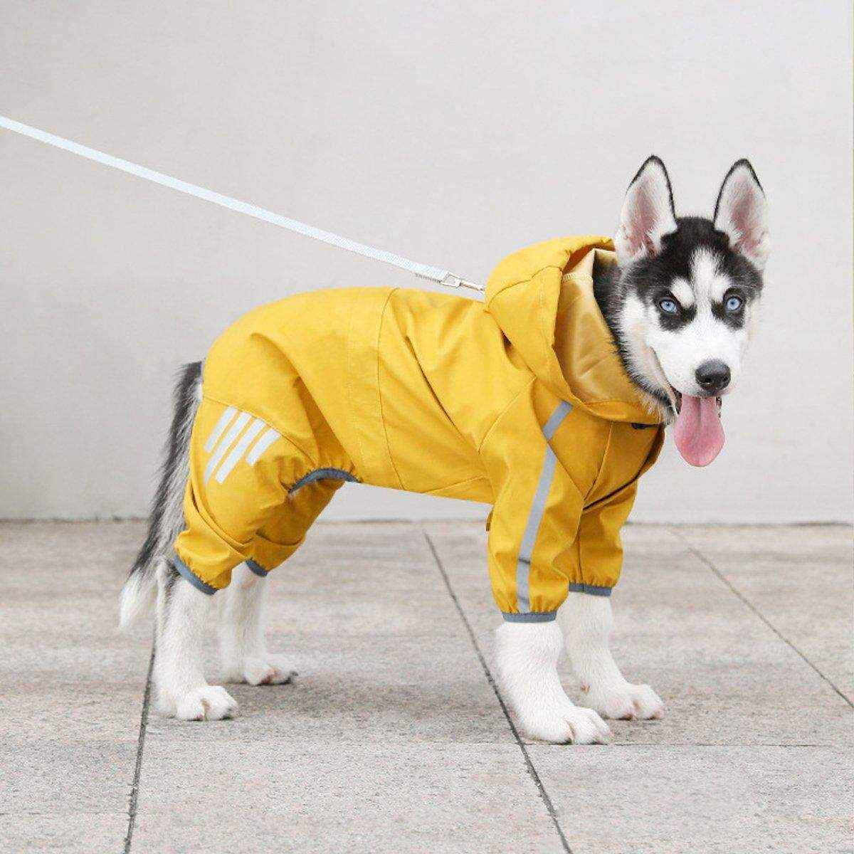 Waterproof Dog Raincoat for Small Medium Dogs - Image 18