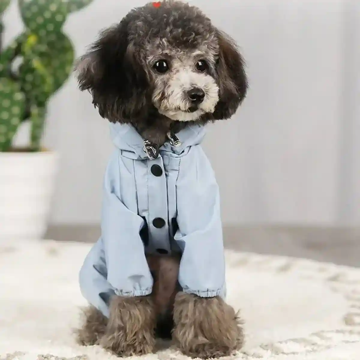 Waterproof Reflective Pet Raincoat with Hood Dog Coat S-XXL - Image 13
