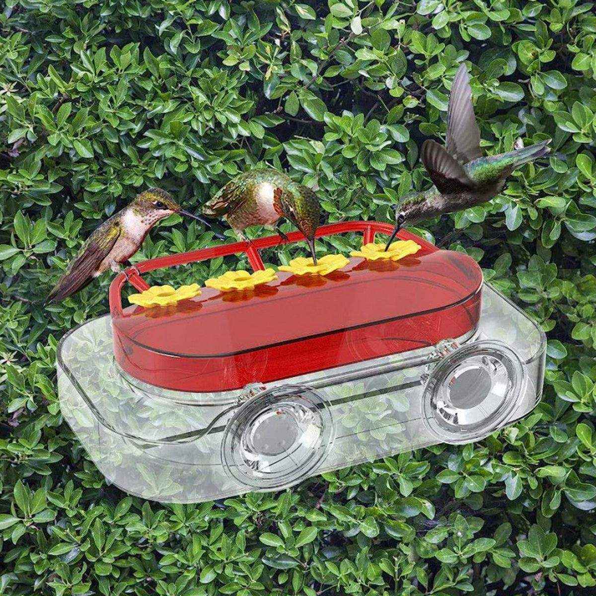 Window Hummingbird Feeder 10oz Capacity with Suction Cup and Ant Moat - Image 4
