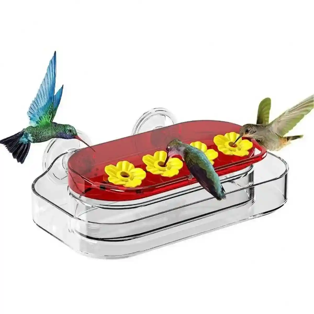 Window Hummingbird Feeder 10oz Capacity with Suction Cup and Ant Moat - Image 5
