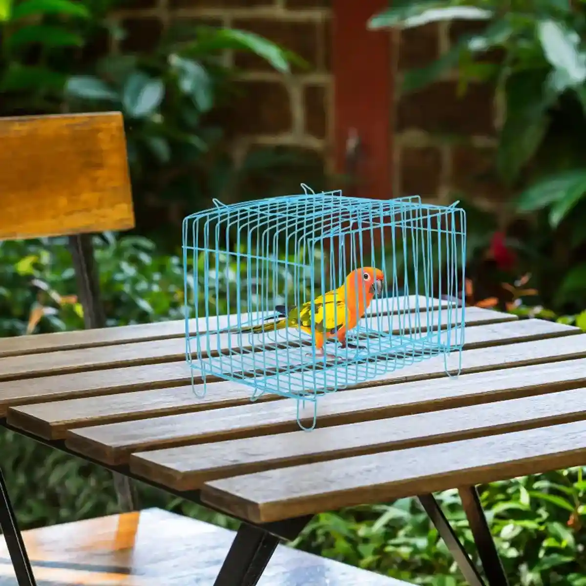 Wire Frame Small Pet Transport Cages Set Durable and Foldable 10 Pack - Image 16