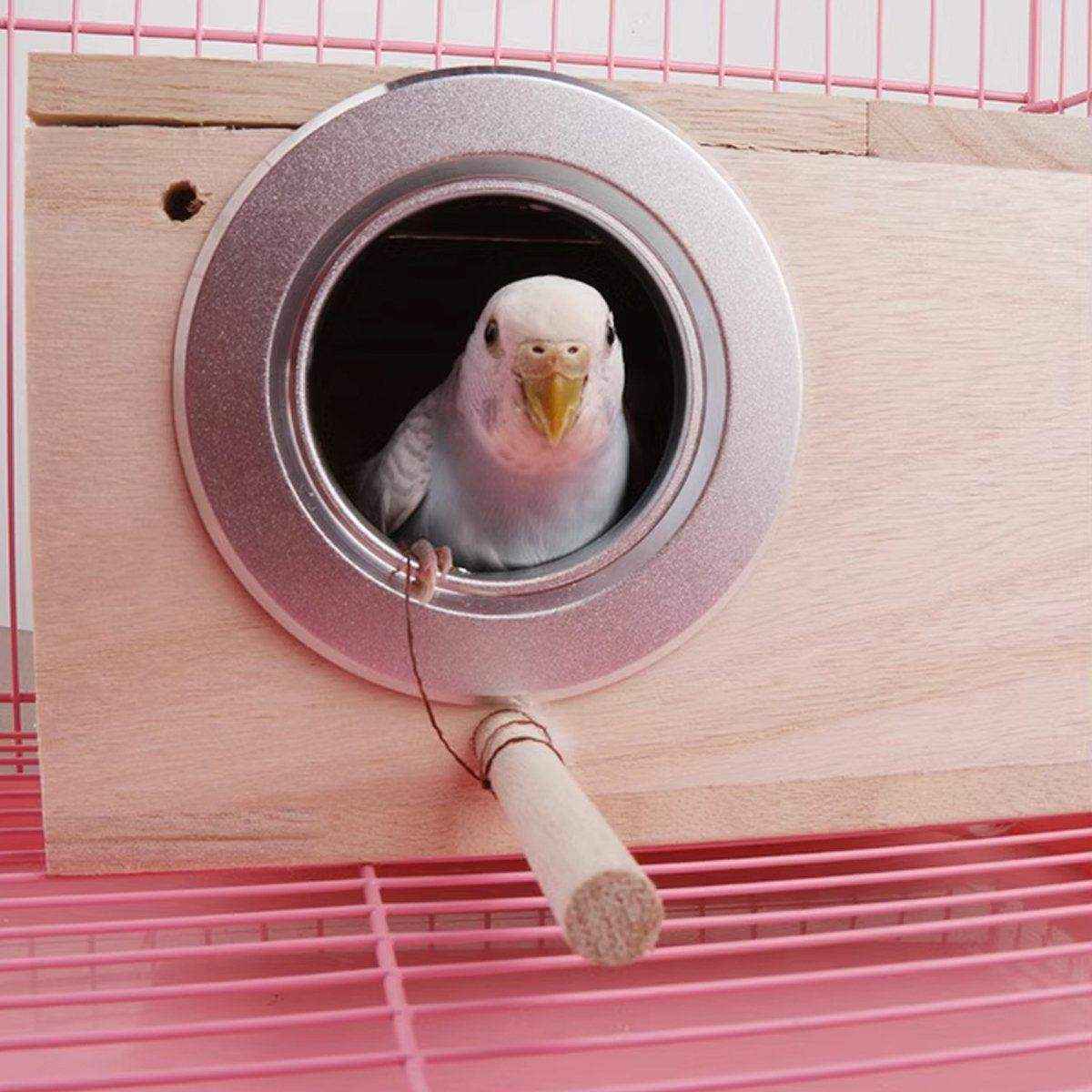 Wooden Bird Breeding Nest Box Bird House - Image 5