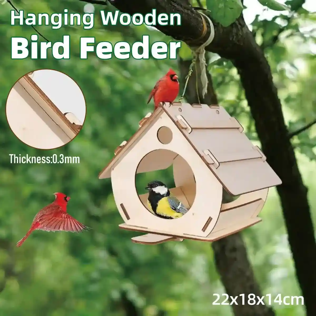 Creative DIY Garden Décor with Wooden Bird Feeder Kit