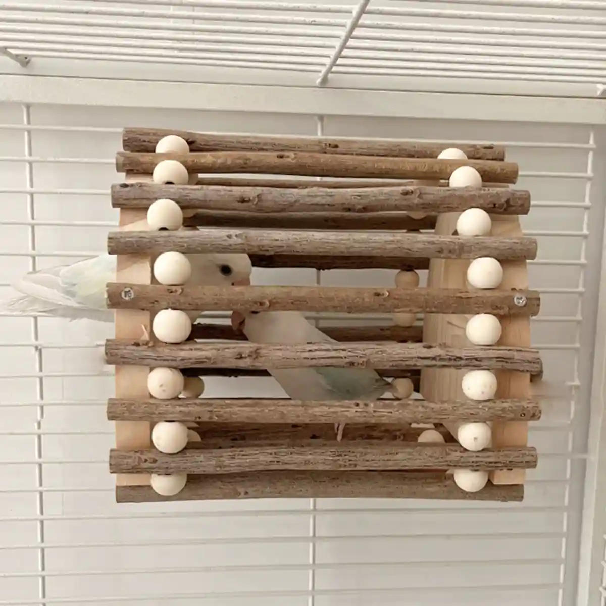 Wooden Bird House for Parrots and Lovebirds - Image 11