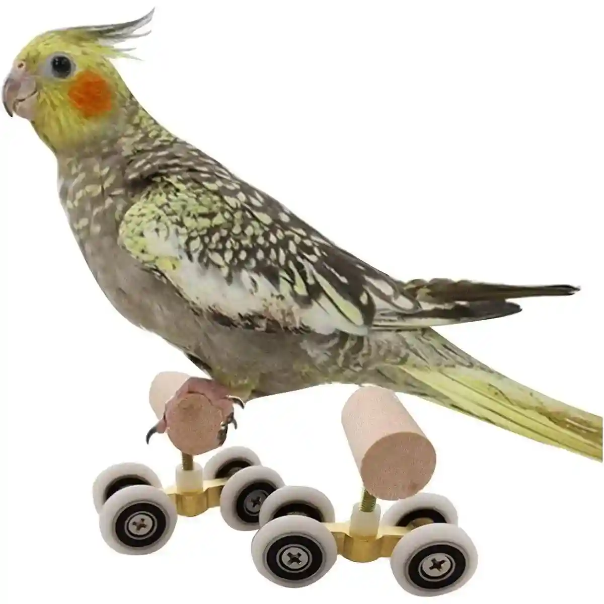 Mini Parrot Roller Skates with Secure Wooden Bird Perches for Training & Play - Image 11