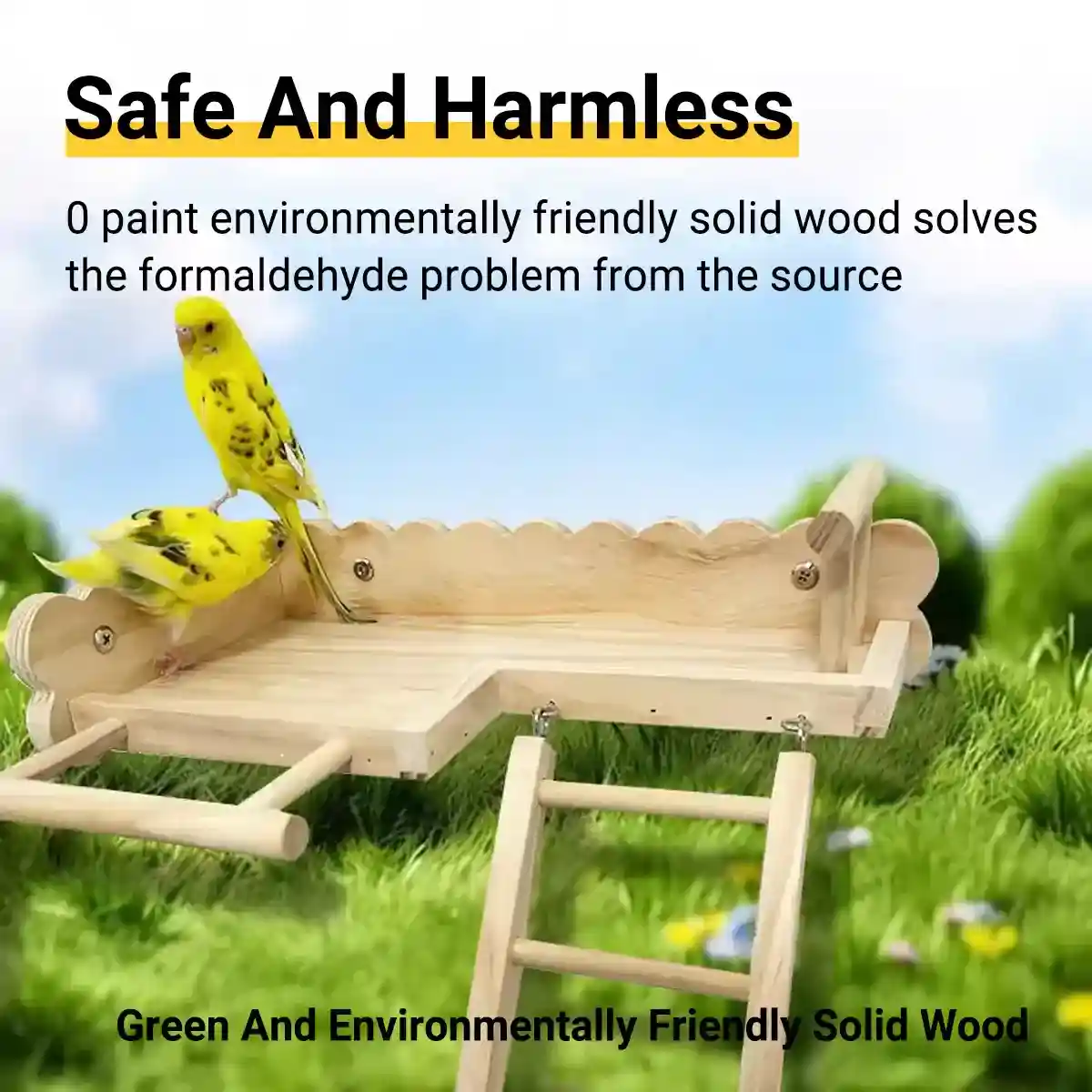 Parrot Cage Platform with Ladder Wooden Bird Stand for Small Birds - Image 5