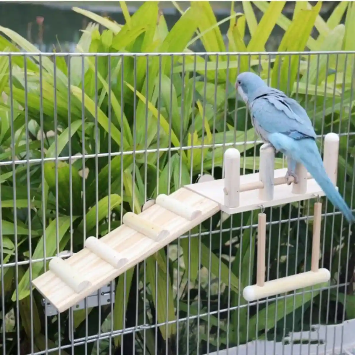 3PCS Wooden Bird Toys Set With Swing Ladder and Platform - Image 6