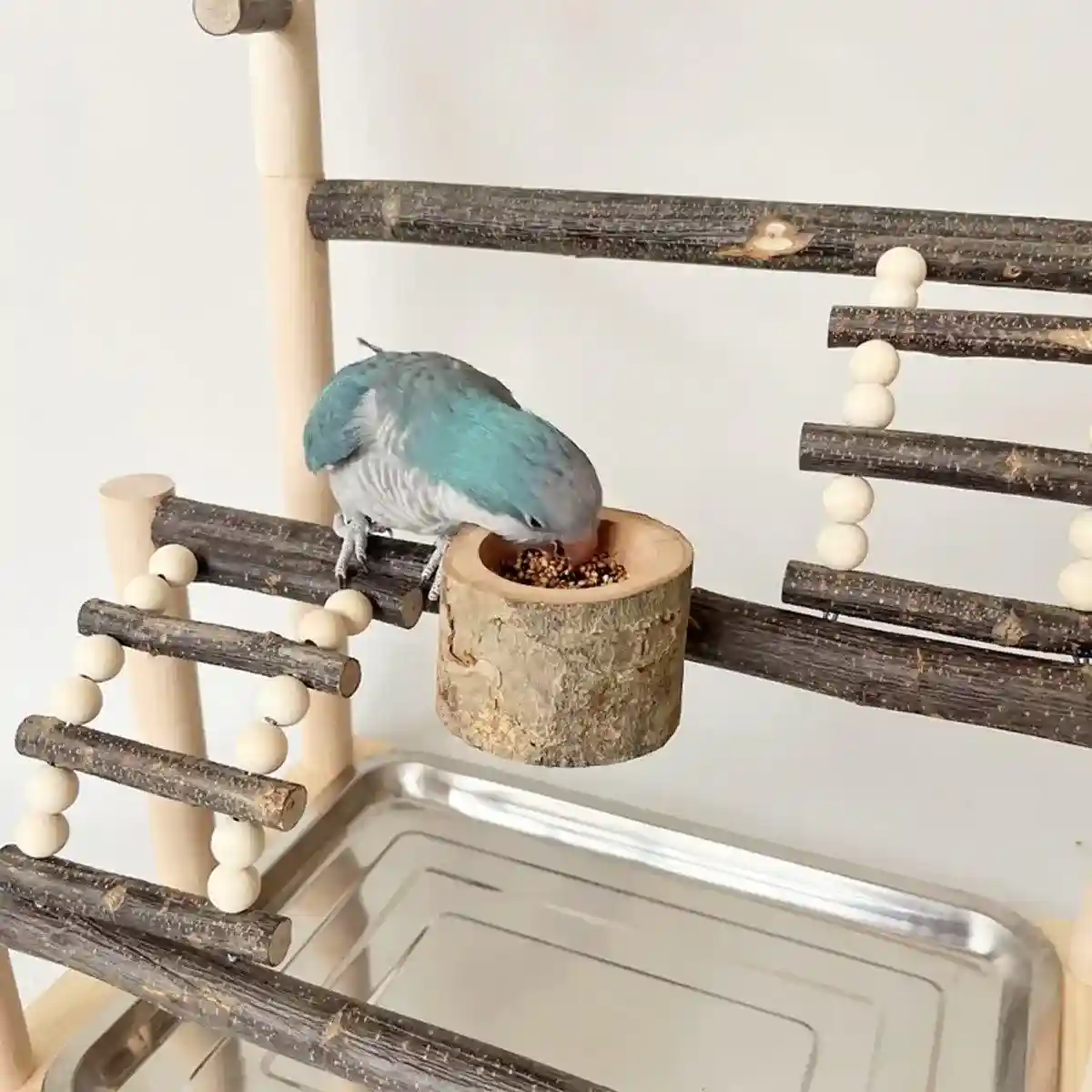 Wooden Parrot Stand Pole Interactive Bird Stand with Food Bowl - Image 5