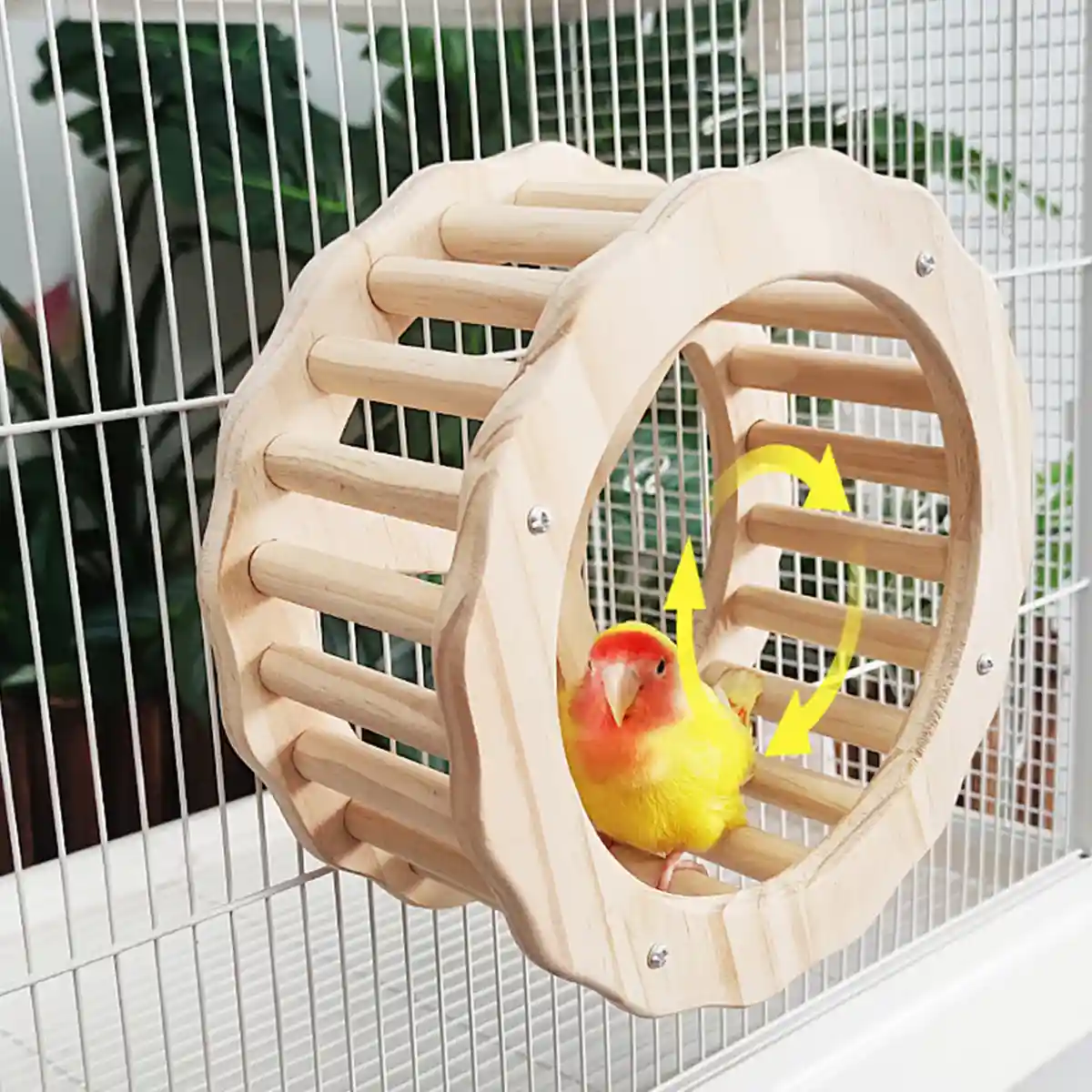 Wooden Parrot Toy Set with Spinning Wheel & Rocker for Cage Mounting - Image 8