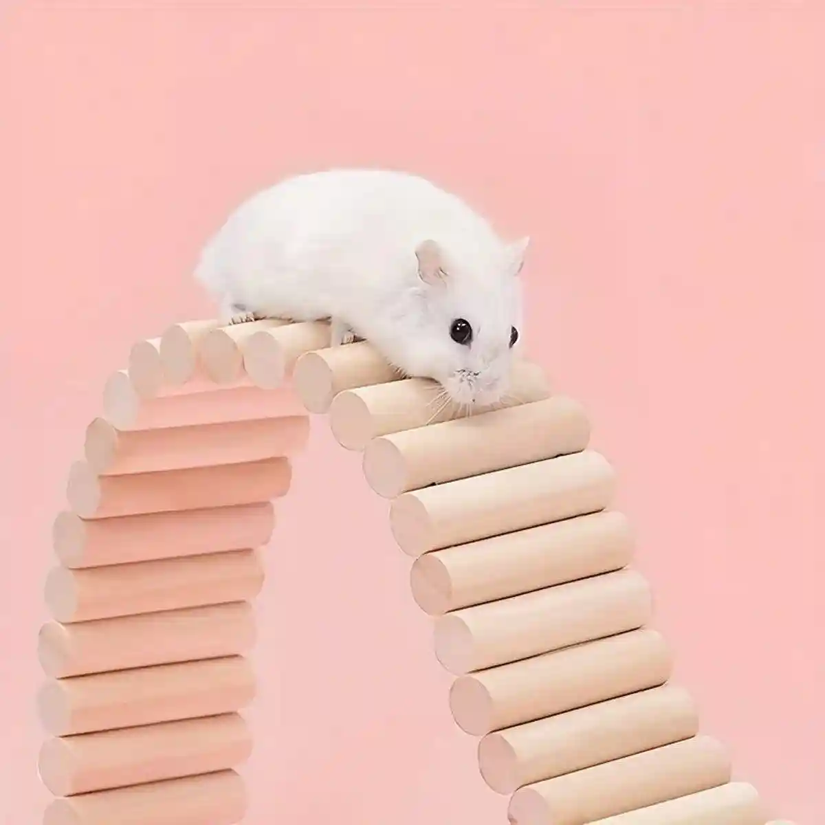 Wooden Hamster Toy Furniture Small Fence Climbing Stairs Arch Bridge for Pets - Image 4