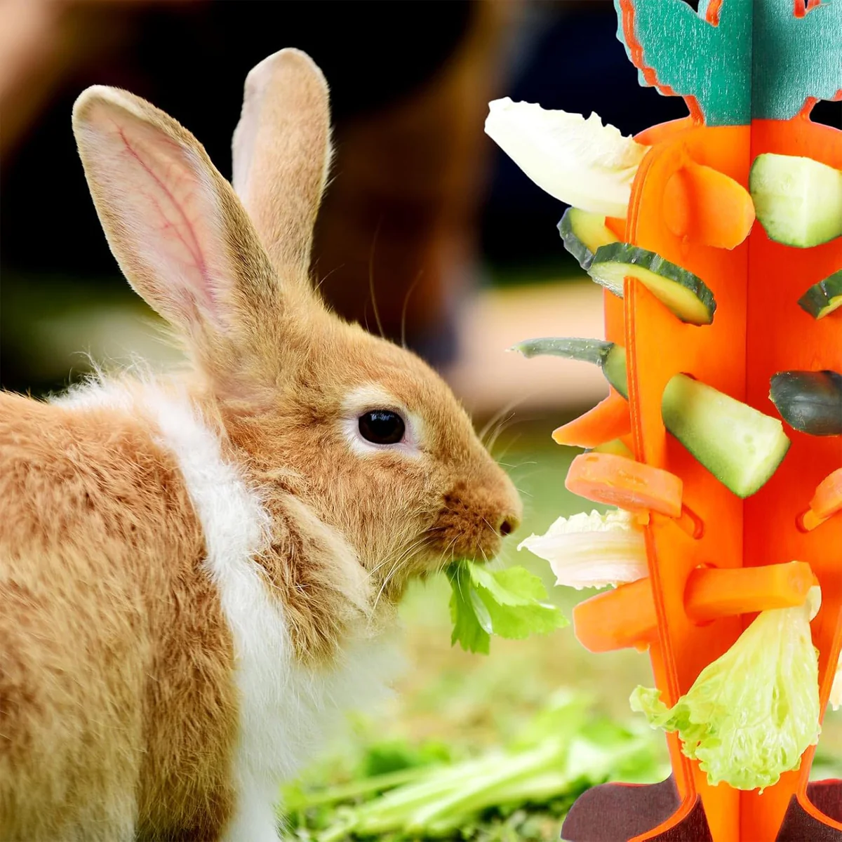 Wooden Small Pet Food Dispenser Carrot Shape - Image 6
