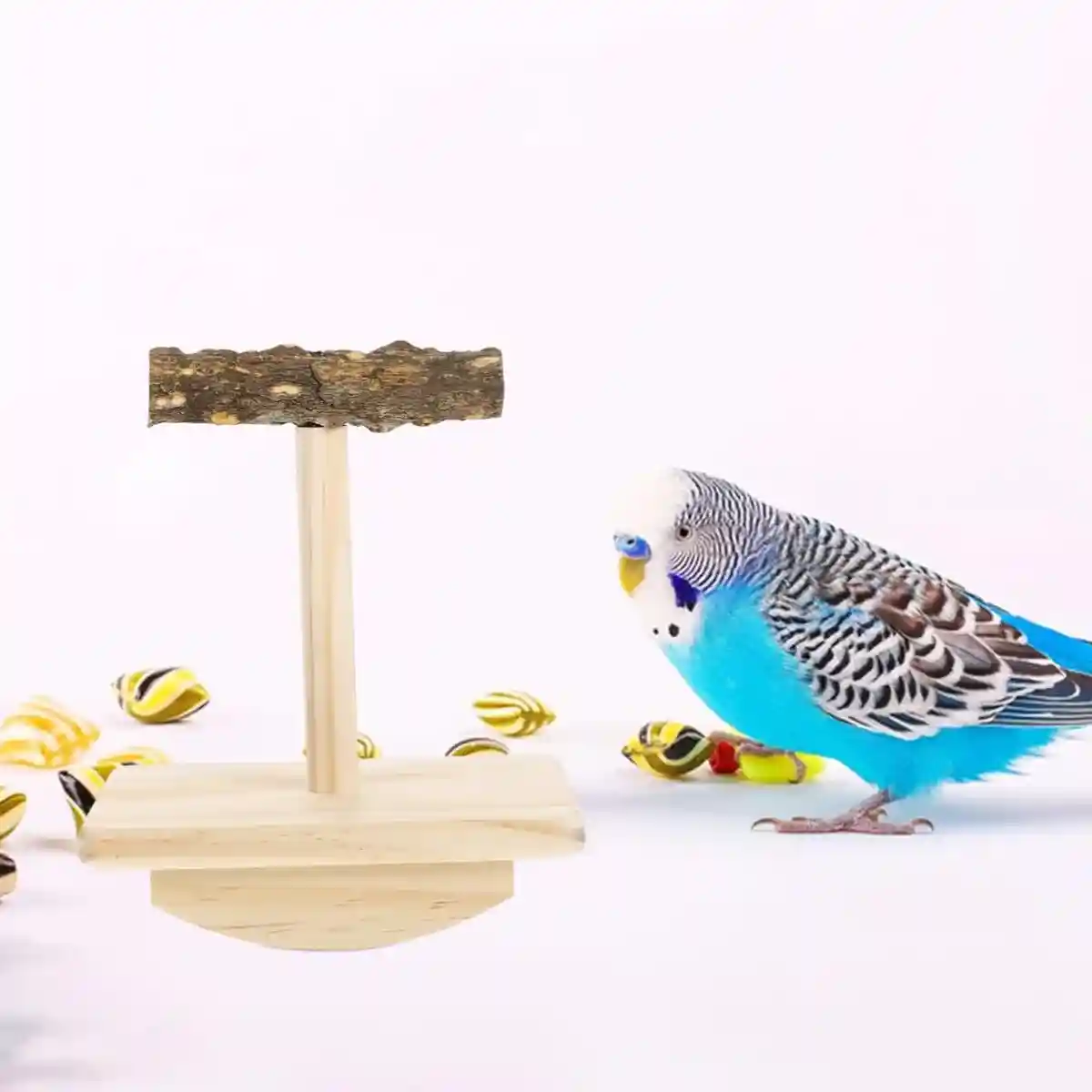 Natural Zanthoxylum Parrot Platform Stand for Claw Grinding & Resting - Image 5