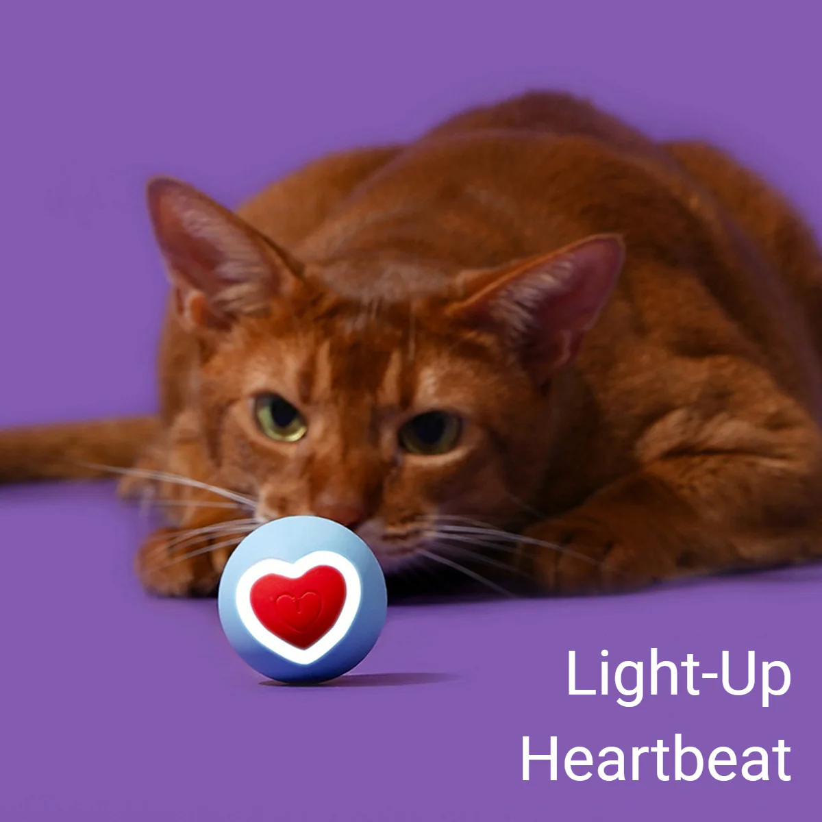 Zeze Interactive Cat Toy Ball With LED Heart Light - Image 4