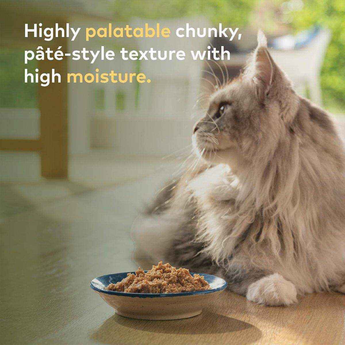 ZIWI Peak Cat Can Chicken | Best Wet Cat Food Australia | 85g - Image 6